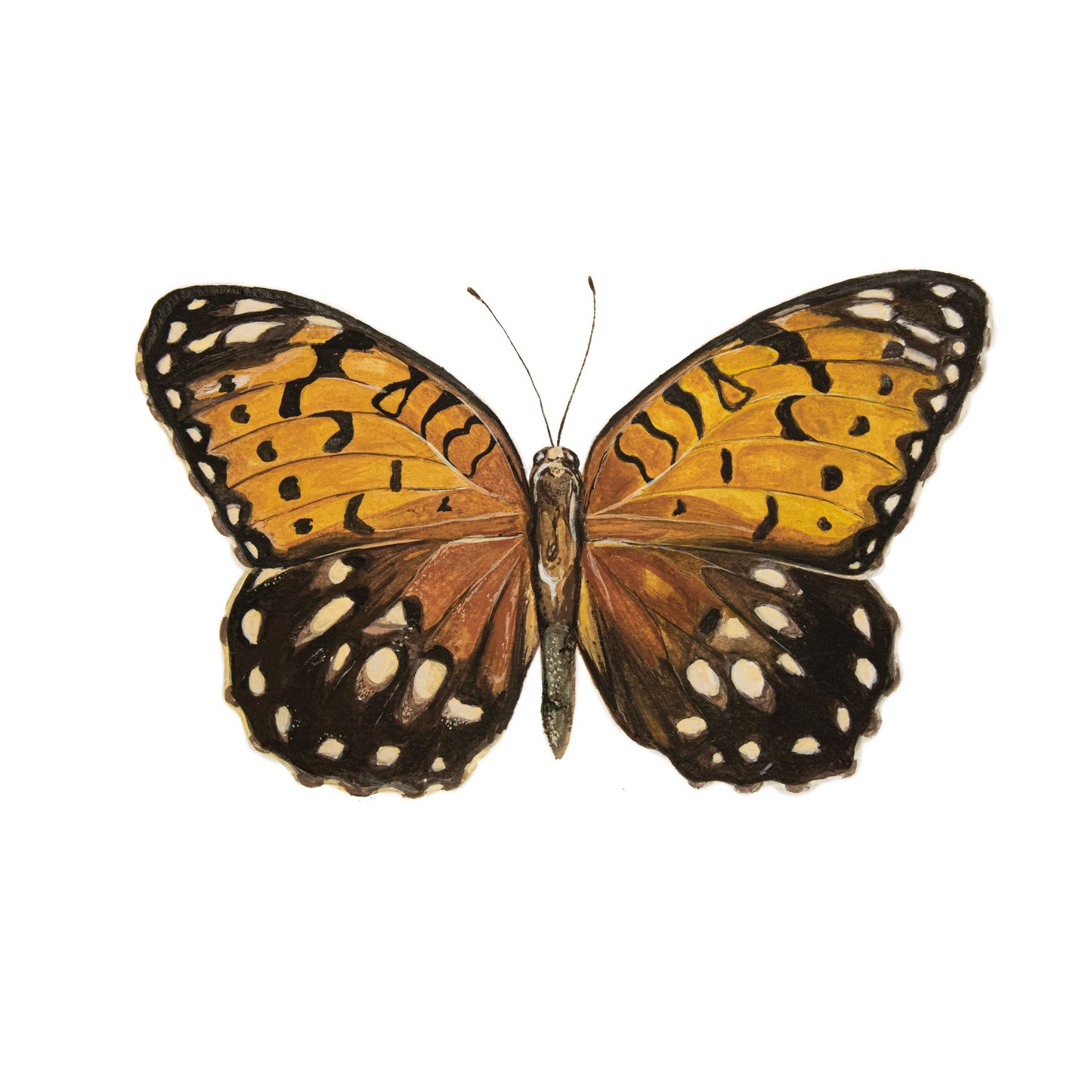 Idalia print